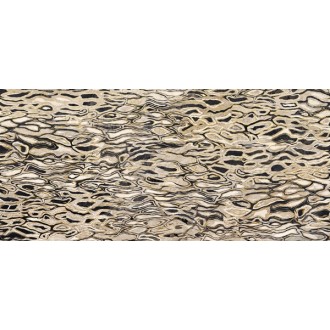 GHEPARD6 12LP The Room 60x120