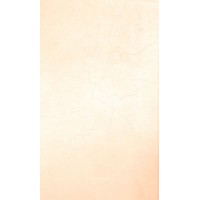 GL02 Бежевая 20x33