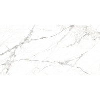 GLACIER WHITE/60x120/EP 60x120