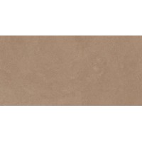 GO01 Gobi Beige неполированный 60x120