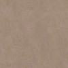 GO01 Gobi Beige неполированный 60x60