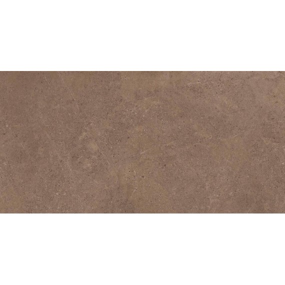Керамогранит GO02 Gobi Dark Beige Неполированный Рект. 60x120x9