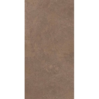 GO02 Gobi Dark Beige неполированный 60x120