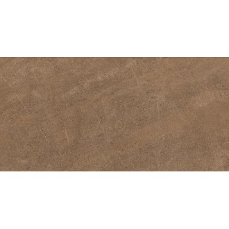 GO02 Gobi Dark Beige неполированный 60x120