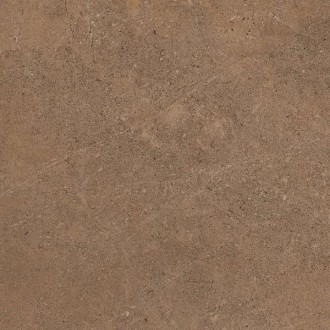 GO02 Gobi Dark Beige неполированный 60x60