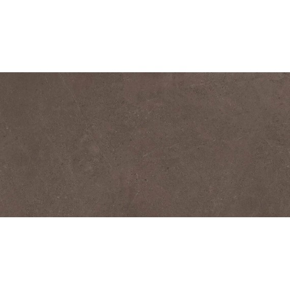 Керамогранит GO03 Gobi Brown Grey Неполированный Рект. 60x120x9