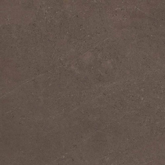 Керамогранит GO03 Gobi Brown Grey Неполированный Рект. 60x60x9