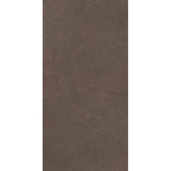 Керамогранит GO03 Gobi Brown Grey неполированный 60x120