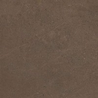 GO03 Gobi Brown Grey неполированный 60x60