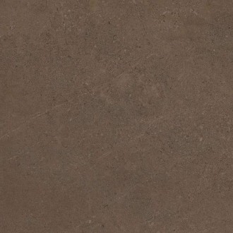 GO03 Gobi Brown Grey неполированный 60x60