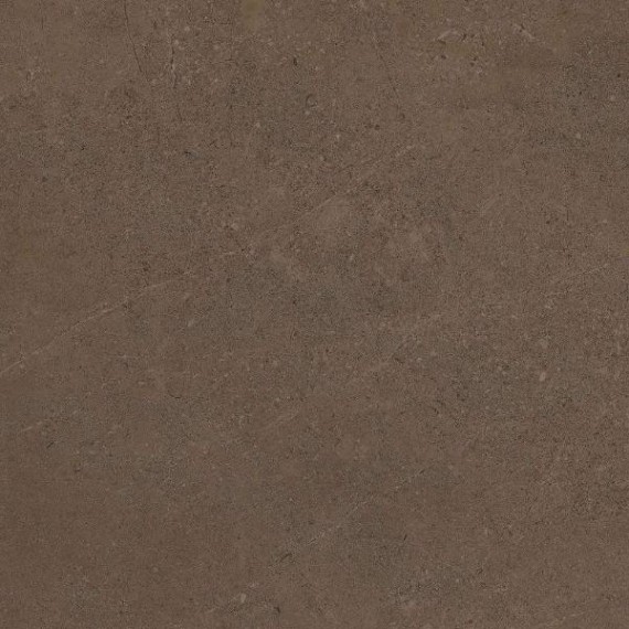 Керамогранит GO03 Gobi Brown Grey неполированный 60x60