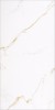 GOLDEN CARRARA 60x120