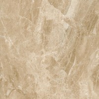 GO 0050 Gobi коричневый 60х60