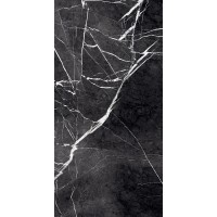 GR203 Fedele Negro High glossy 600x1200