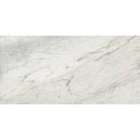 GRS01-18 Ellora Ashy 120x60