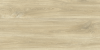 GRS11-17S Ajanta Ash 120x60