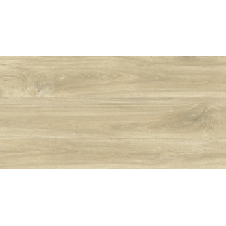 GRS11-17S Ajanta Ash 120x60