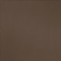 GT025 КерамогранитM RAL8025 Шоколад матовый 600х600х10 ретт