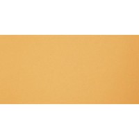 GT061M RAL1002 Янтарь матовый 60x120
