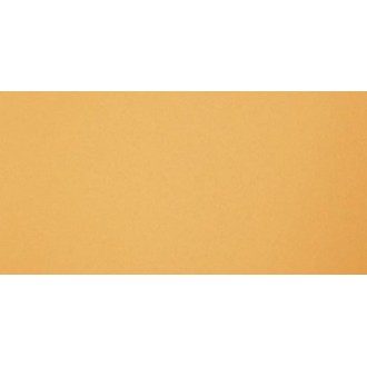 GT061M RAL1002 Янтарь матовый 60x120
