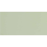GT079M RAL6021 Зеленый чай матовый 60x120