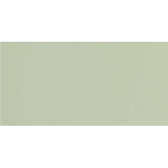GT079M RAL6021 Зеленый чай матовый 60x120