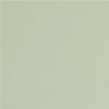 GT079M RAL6021 Зеленый чай матовый 60x60