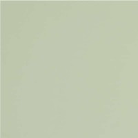 GT079M RAL6021 Зеленый чай матовый 60x60