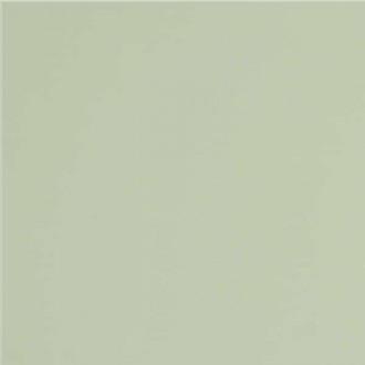 GT079M RAL6021 Зеленый чай матовый 60x60