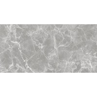 GT120601301PR Керамогранит Solo Серый полированный 60x120