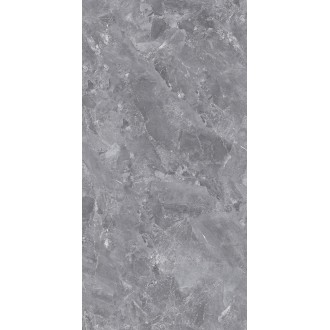 GT1206015701PSiR Silver Серый 60x120