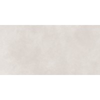 GT1206017706MR Керамогранит Cassini Светло-серый матовый 60x120