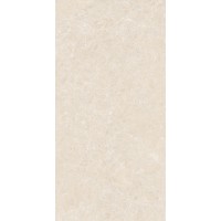 GT1206025402M3GR Shell Бежевый 3D граниль 60x120