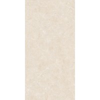 GT1206025402MHRR Shell Бежевый 60x120