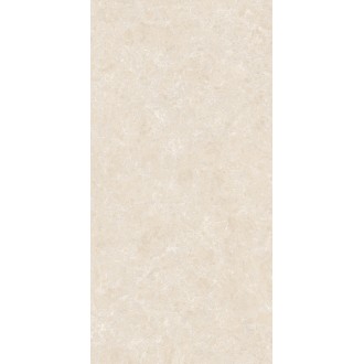 GT1206025402MHRR Shell Бежевый 60x120