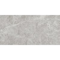 GT120604601PR Керамогранит Korinthos Серый 60x120