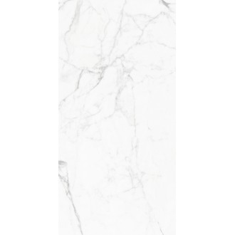 GT120604803PR Elegant Statuario Белый 60x120
