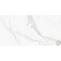 GT120607803PR Керамогранит Monza Белый 60x120