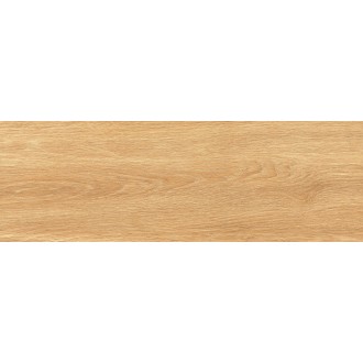 GT206024619MCR Bukhara Медовый 19,7x60