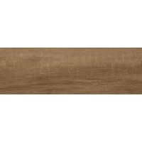 GT206024904MCR Fergana Коричневый 19,7x60