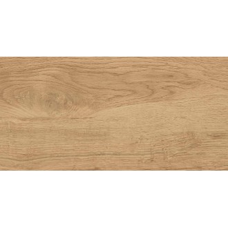 GT220VG Florida Бежевый 30x60