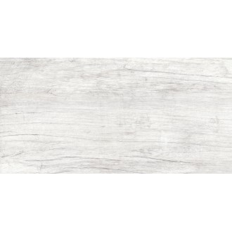 GT223VG Керамогранит Storm Светло-Серый 30x60