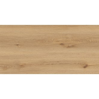 GT5010026902MCR Вуди Бежевый 50x100