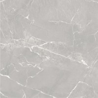 GT606012401MR-3 Керамогранит Carolina Серый 60x60
