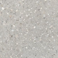 GT60609201MR Керамогранит Saga Серый 60x60