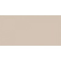 GTF427 RAL1015 Бежевый мел матовый ретт. 600х1200х10