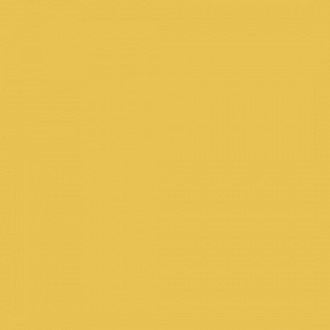 GTF463 RAL1012 Желтый горицвет матовый ретт. 60x60