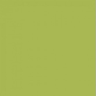 GTF477 RAL6019 Зеленая керамика матовый ретт. 60x60