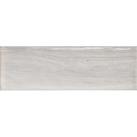 Genesis Gris Brillo 10x30