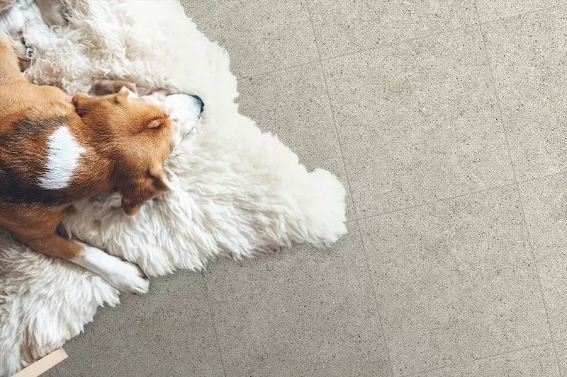 Global Tile Deimos Global Tile